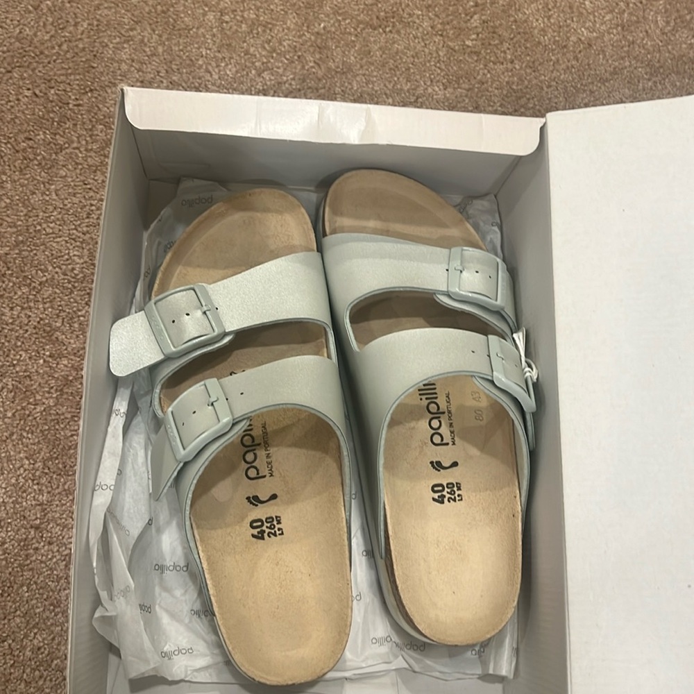 papillon slides